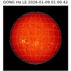 gong - 2026-01-09T01:00:42