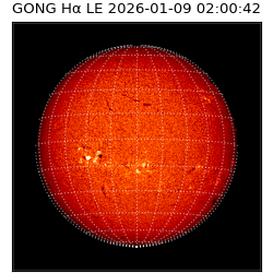 gong - 2026-01-09T02:00:42