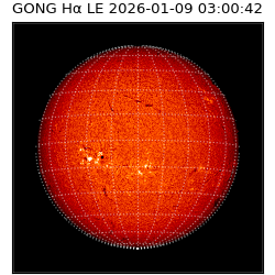 gong - 2026-01-09T03:00:42