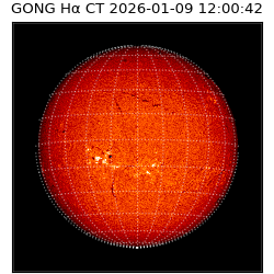 gong - 2026-01-09T12:00:42