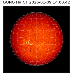 gong - 2026-01-09T14:00:42