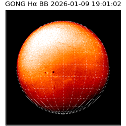 gong - 2026-01-09T19:01:02