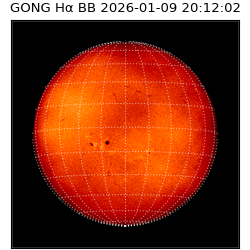 gong - 2026-01-09T20:12:02
