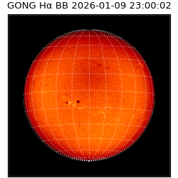 gong - 2026-01-09T23:00:02
