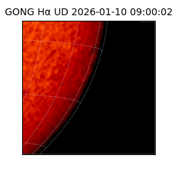 gong - 2026-01-10T09:00:02