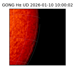 gong - 2026-01-10T10:00:02