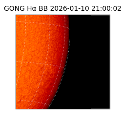 gong - 2026-01-10T21:00:02