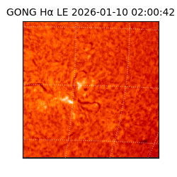 gong - 2026-01-10T02:00:42