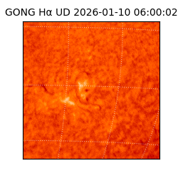 gong - 2026-01-10T06:00:02