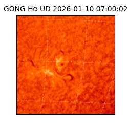 gong - 2026-01-10T07:00:02