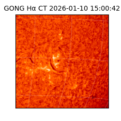 gong - 2026-01-10T15:00:42