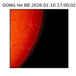 gong - 2026-01-10T17:00:02