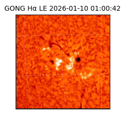 gong - 2026-01-10T01:00:42