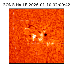 gong - 2026-01-10T02:00:42