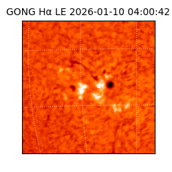 gong - 2026-01-10T04:00:42