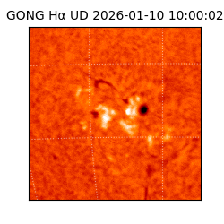 gong - 2026-01-10T10:00:02