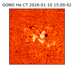 gong - 2026-01-10T15:00:42