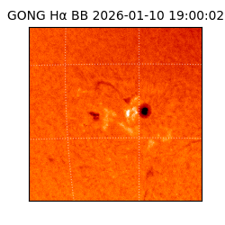 gong - 2026-01-10T19:00:02