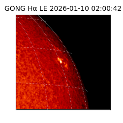 gong - 2026-01-10T02:00:42