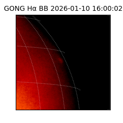 gong - 2026-01-10T16:00:02