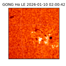 gong - 2026-01-10T02:00:42