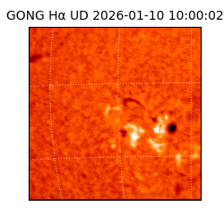 gong - 2026-01-10T10:00:02