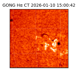 gong - 2026-01-10T15:00:42