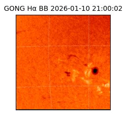 gong - 2026-01-10T21:00:02
