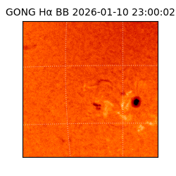 gong - 2026-01-10T23:00:02