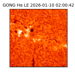 gong - 2026-01-10T02:00:42