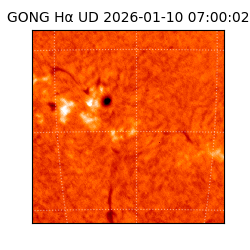 gong - 2026-01-10T07:00:02