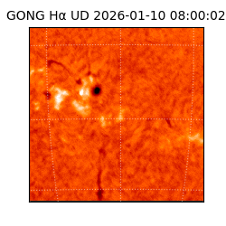 gong - 2026-01-10T08:00:02