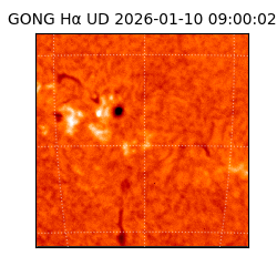 gong - 2026-01-10T09:00:02