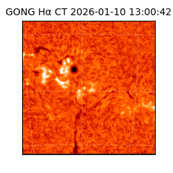 gong - 2026-01-10T13:00:42