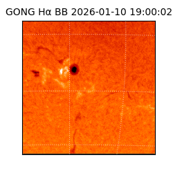 gong - 2026-01-10T19:00:02