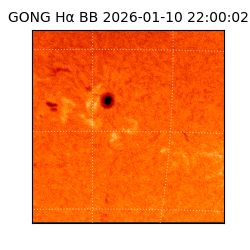 gong - 2026-01-10T22:00:02