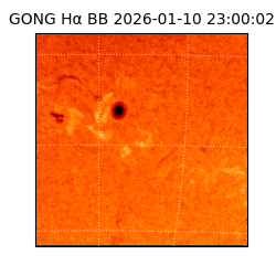 gong - 2026-01-10T23:00:02