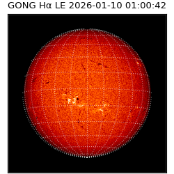 gong - 2026-01-10T01:00:42