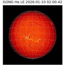 gong - 2026-01-10T02:00:42