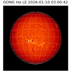 gong - 2026-01-10T03:00:42
