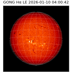 gong - 2026-01-10T04:00:42