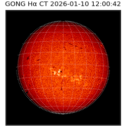 gong - 2026-01-10T12:00:42