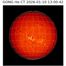 gong - 2026-01-10T13:00:42