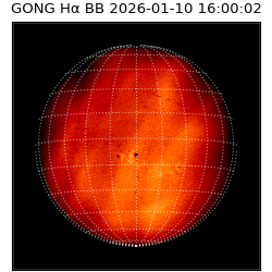 gong - 2026-01-10T16:00:02