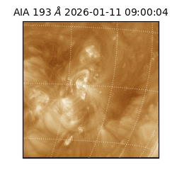saia - 2026-01-11T09:00:04.840000