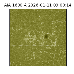 saia - 2026-01-11T09:00:14.130000