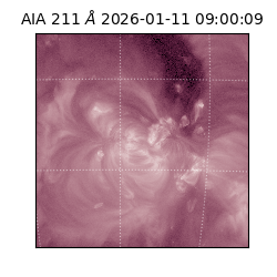 saia - 2026-01-11T09:00:09.630000