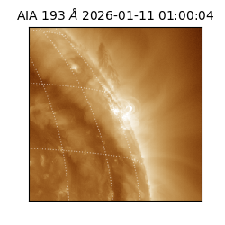 saia - 2026-01-11T01:00:04.844000