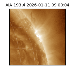 saia - 2026-01-11T09:00:04.840000