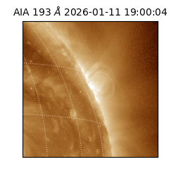 saia - 2026-01-11T19:00:04.840000